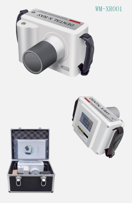Radio Portable WM-XR001